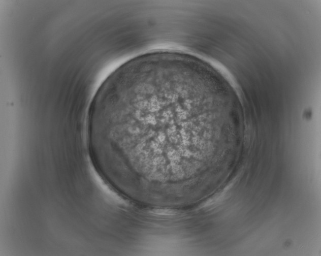 X0000092031295200709201604