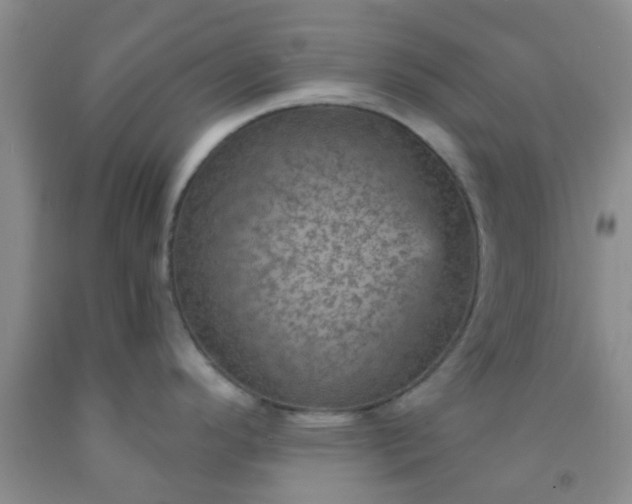 X0000092031296200709201604