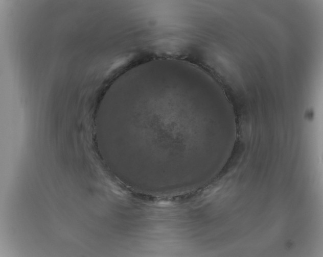 X0000092031297200709201604