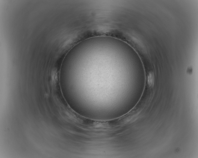 X0000092031299200709201604