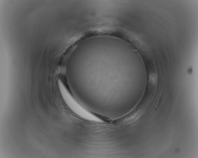 X0000092031300200709201604