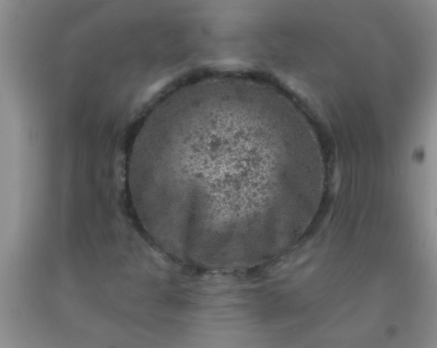 X0000092031301200709201604