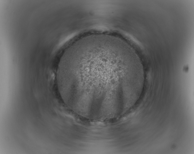 X0000092031302200709201604