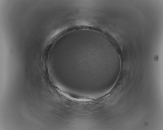 X0000092031303200709201604