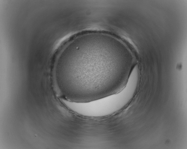 X0000092031304200709201604