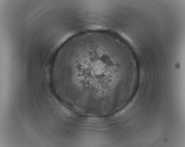 X0000092031305200709201604