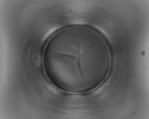 X0000092031306200709201604