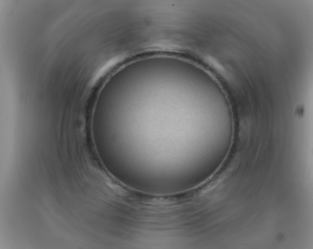 X0000092031307200709201604