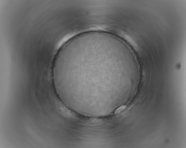 X0000092031308200709201604