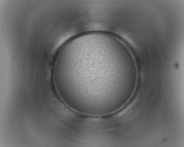 X0000092031309200709201604