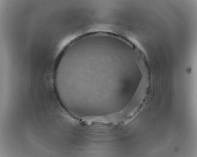 X0000092031312200709201604