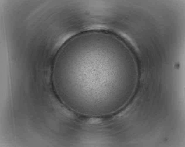 X0000092031313200709201604