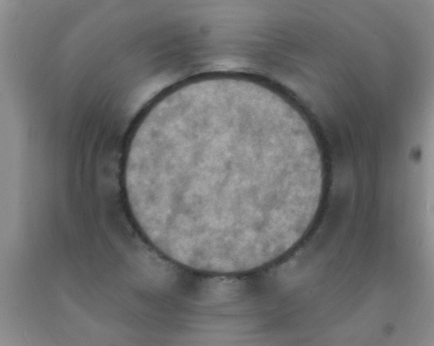 X0000092031314200709201604