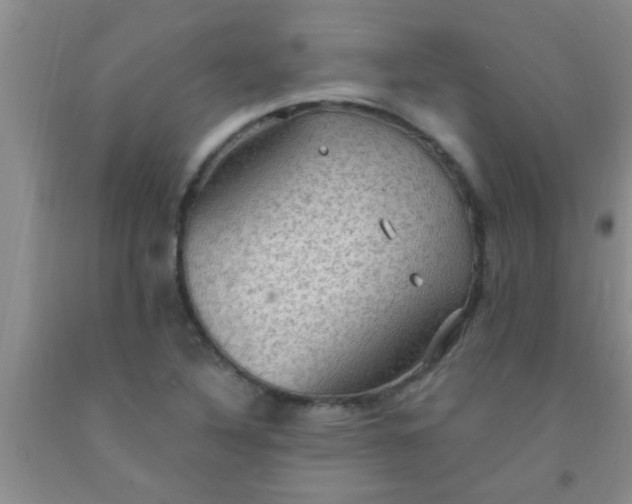 X0000092031316200709201604