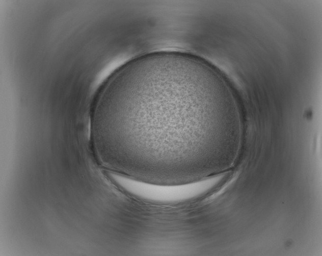 X0000092031317200709201604