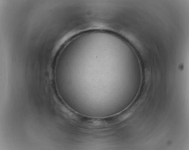 X0000092031318200709201604