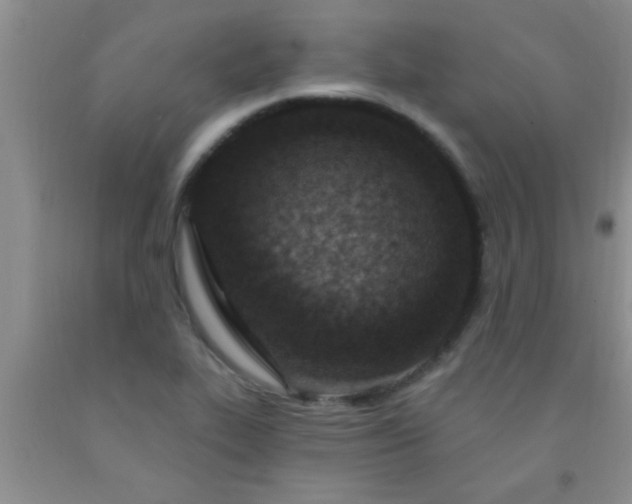 X0000092031319200709201604