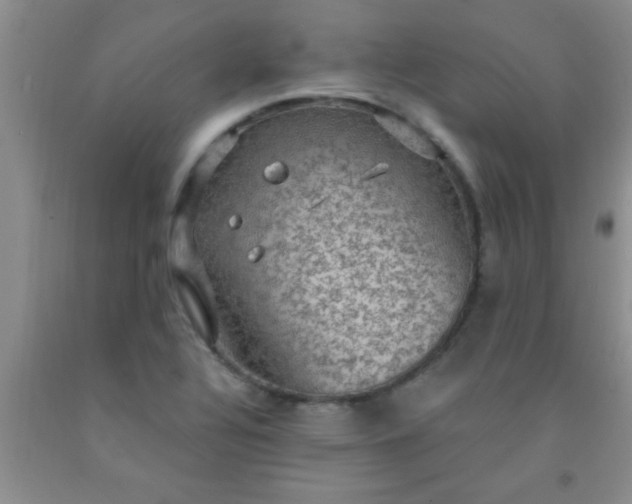 X0000092031320200709201604