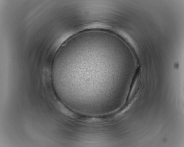 X0000092031321200709201604