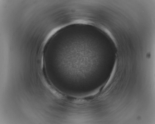 X0000092031323200709201604