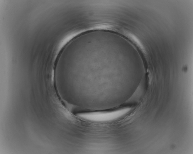 X0000092031324200709201604