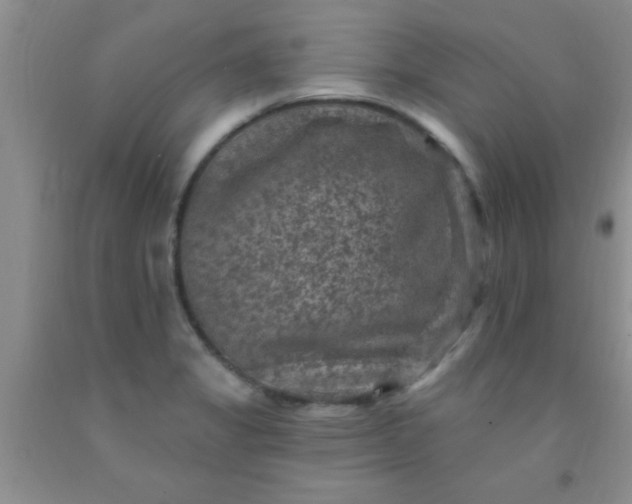 X0000092031325200709201604