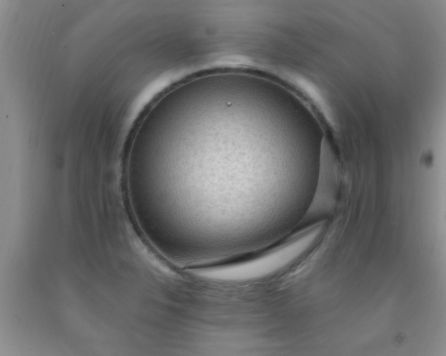 X0000092031326200709201604