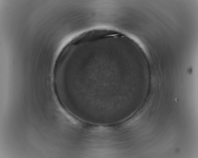 X0000092031327200709201604