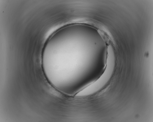 X0000092031328200709201604