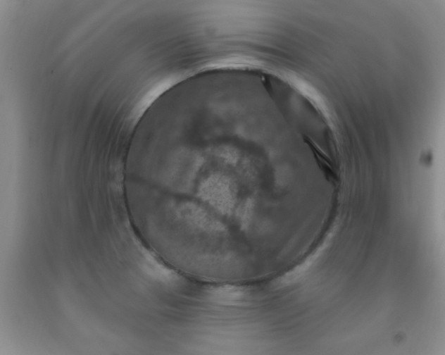 X0000092031329200709201604