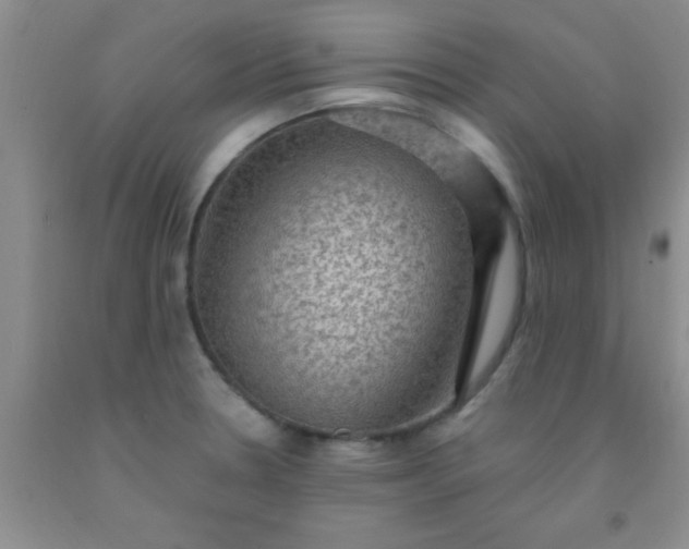 X0000092031330200709201604