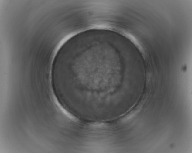 X0000092031331200709201604