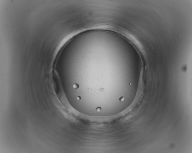 X0000092031332200709201604