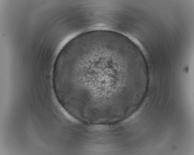 X0000092031333200709201604