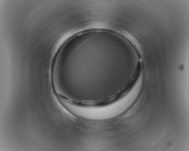 X0000092031334200709201604