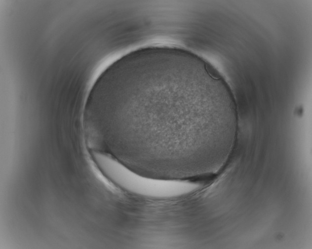 X0000092031335200709201604