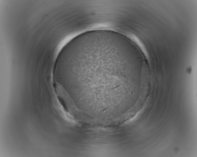 X0000092031336200709201604