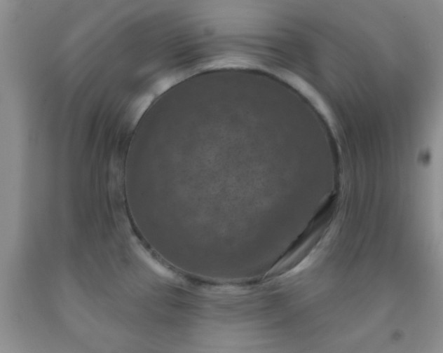 X0000092031337200709201604