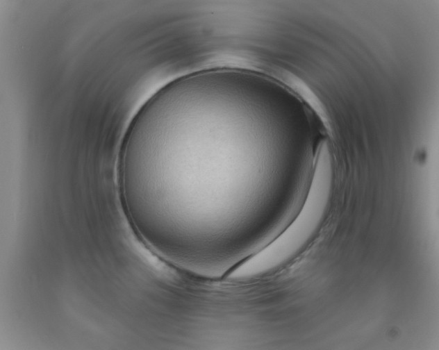 X0000092031339200709201604