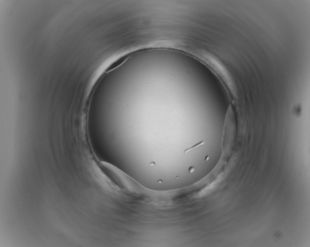 X0000092031340200709201604