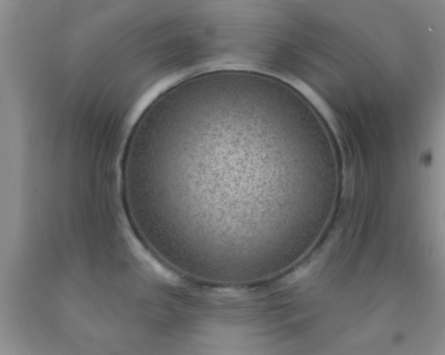 X0000092031341200709201604