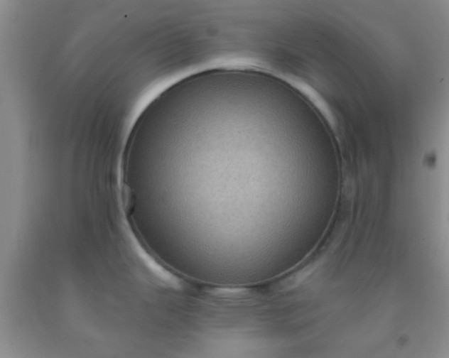 X0000092031343200709201604