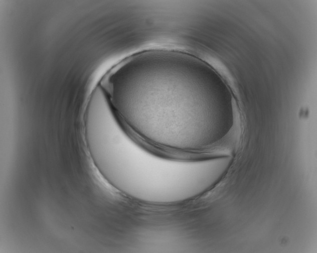 X0000092031344200709201604