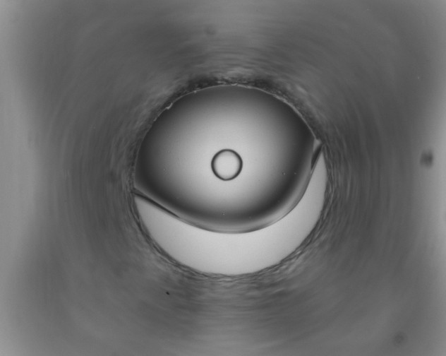 X0000092031345200709201604