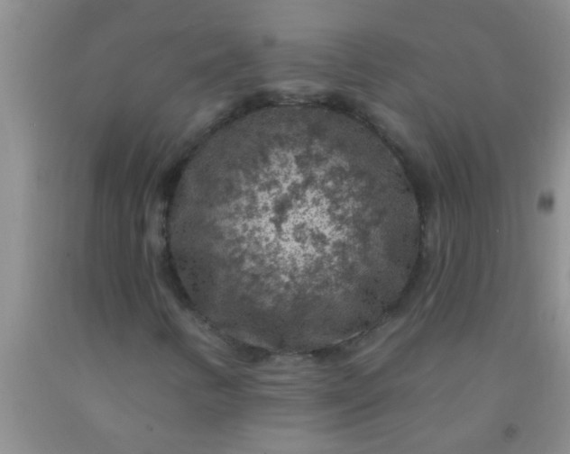 X0000092031346200709201604