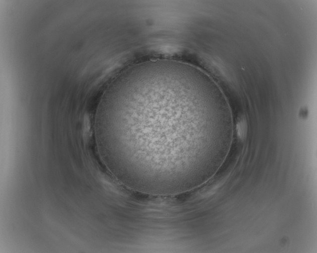 X0000092031347200709201603