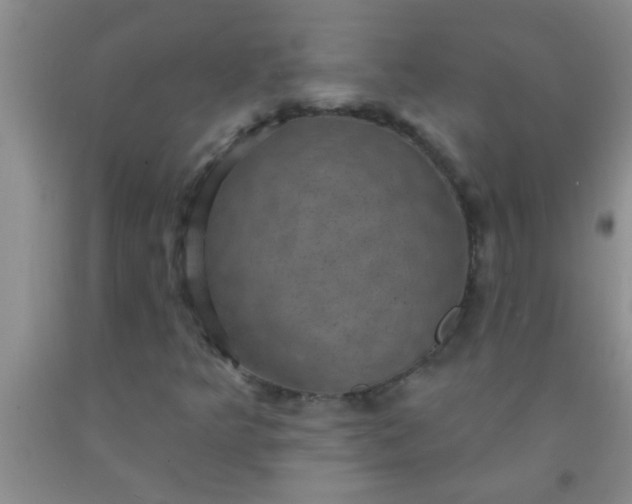 X0000092031349200709201603