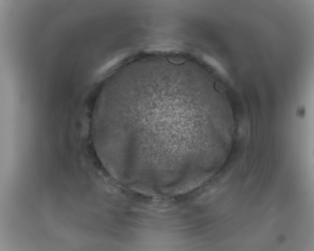 X0000092031350200709201603