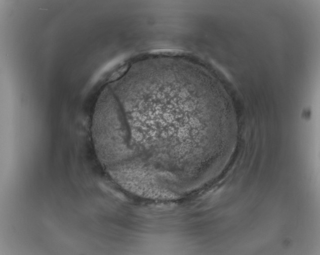 X0000092031351200709201603