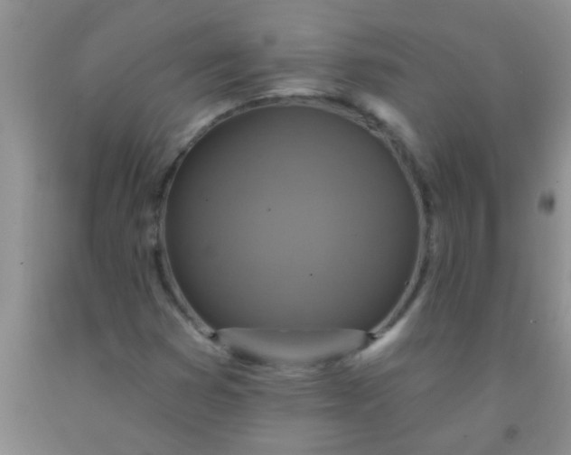 X0000092031353200709201603